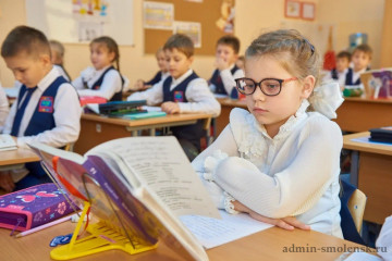 в России появится «золотой стандарт» образования - фото - 1