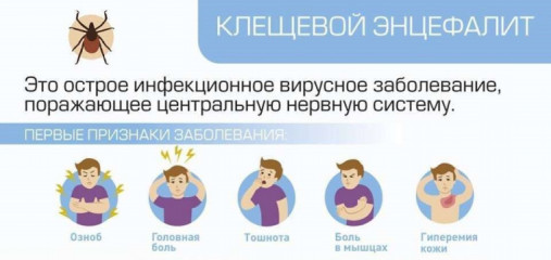 о Всероссийской горячей линии по профилактике клещевого энцефалита и инфекций, передающихся клещами - фото - 1