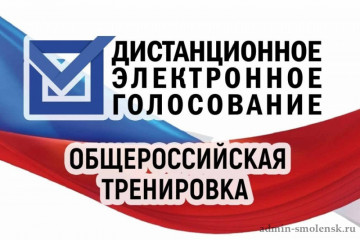 общероссийская тренировка электронного голосования - фото - 1