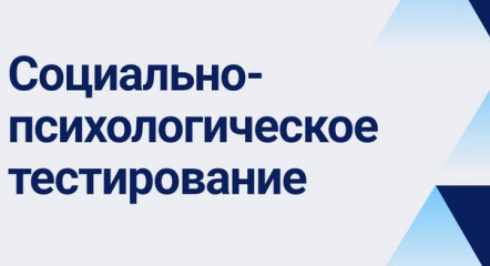 информируем о начале проведения социально-психологического тестирования (СПТ) в 2024-2025 учебном году в общеобразовательных организациях Починковского района - фото - 1